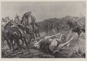 Clearing the Kopjes